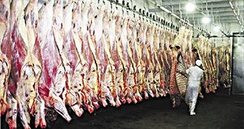 Fin de la media res: Agricultura oficializó los requisitos para el troceo Fin de la media res: Agricultura oficializó los requisitos para el troceo